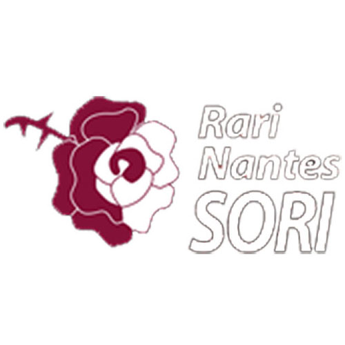 Rari Nantes Sori