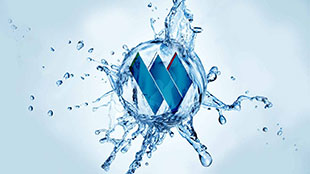 WP Channel
