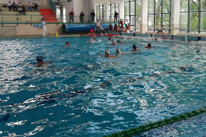 cesport cusunime 300x200