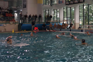 cesport 4