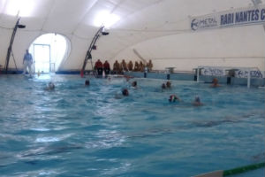 crotone salerno 5664466444