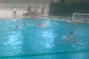 imperia promogest